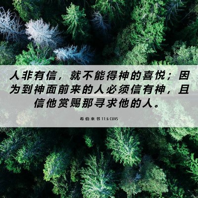 Picture 06 - 希 伯 来 书 11:6 CUVS - 人 非 有 信 ， 就 不 能 得 神 的 喜 - Bible Verse Picture