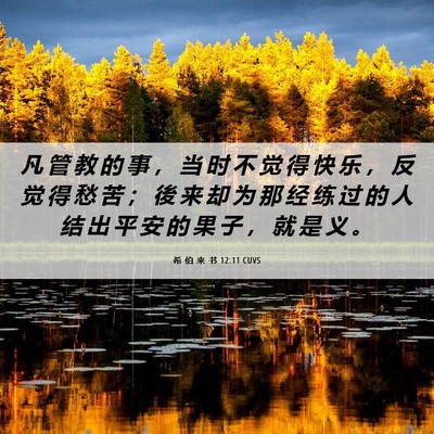 Picture 06 - 希 伯 来 书 12:11 CUVS - 凡 管 教 的 事 ， 当 时 不 觉 得 快 - Bible Verse Picture