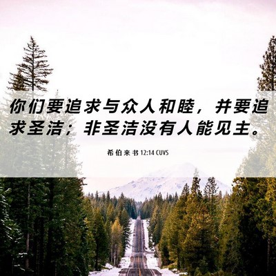 Picture 06 - 希 伯 来 书 12:14 CUVS - 你 们 要 追 求 与 众 人 和 睦 ， 并 - Bible Verse Picture