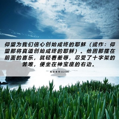 Picture 06 - 希 伯 来 书 12:2 CUVS - 仰 望 为 我 们 信 心 创 始 成 终 的 - Bible Verse Picture