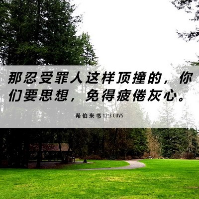 Picture 06 - 希 伯 来 书 12:3 CUVS - 那 忍 受 罪 人 这 样 顶 撞 的 ， 你 - Bible Verse Picture