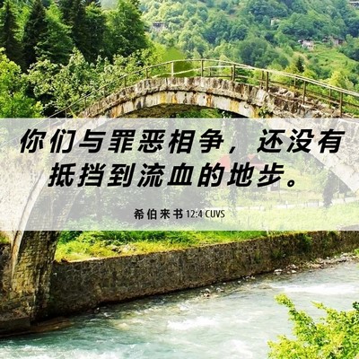 Picture 06 - 希 伯 来 书 12:4 CUVS - 你 们 与 罪 恶 相 争 ， 还 没 有 抵 - Bible Verse Picture