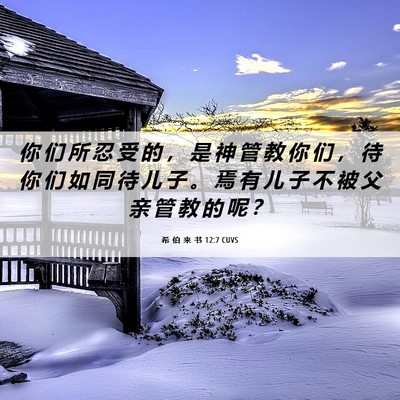 Picture 06 - 希 伯 来 书 12:7 CUVS - 你 们 所 忍 受 的 ， 是 神 管 教 你 - Bible Verse Picture