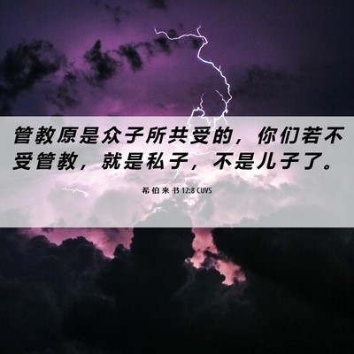 Picture 06 - 希 伯 来 书 12:8 CUVS - 管 教 原 是 众 子 所 共 受 的 ， 你 - Bible Verse Picture