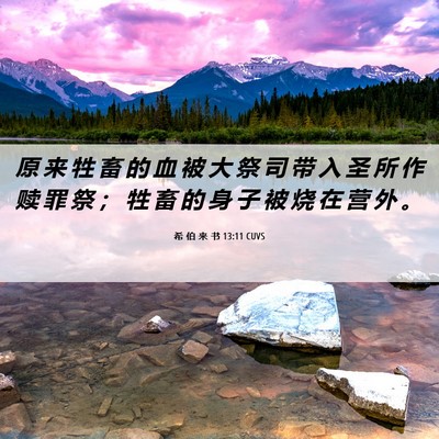 Picture 06 - 希 伯 来 书 13:11 CUVS - 原 来 牲 畜 的 血 被 大 祭 司 带 入 - Bible Verse Picture