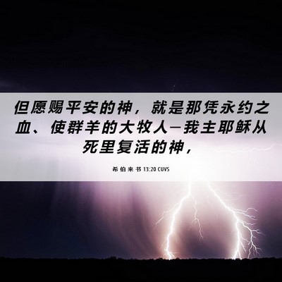 Picture 06 - 希 伯 来 书 13:20 CUVS - 但 愿 赐 平 安 的 神 ， 就 是 那 凭 - Bible Verse Picture
