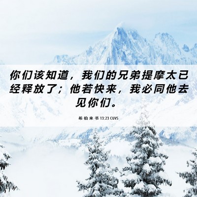 Picture 06 - 希 伯 来 书 13:23 CUVS - 你 们 该 知 道 ， 我 们 的 兄 弟 提 - Bible Verse Picture
