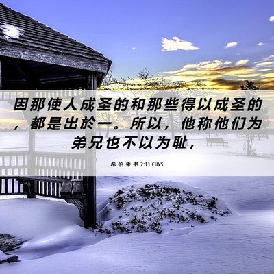 Picture 06 - 希 伯 来 书 2:11 CUVS - 因 那 使 人 成 圣 的 和 那 些 得 以 - Bible Verse Picture
