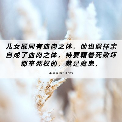 Picture 06 - 希 伯 来 书 2:14 CUVS - 儿 女 既 同 有 血 肉 之 体 ， 他 也 - Bible Verse Picture
