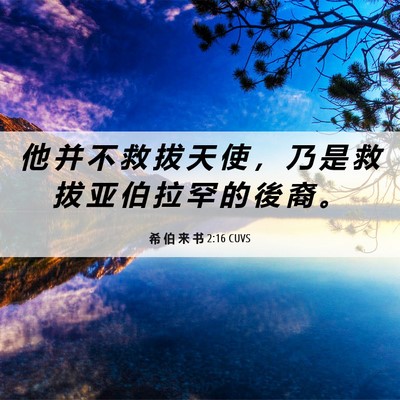 Picture 06 - 希 伯 来 书 2:16 CUVS - 他 并 不 救 拔 天 使 ， 乃 是 救 拔 - Bible Verse Picture
