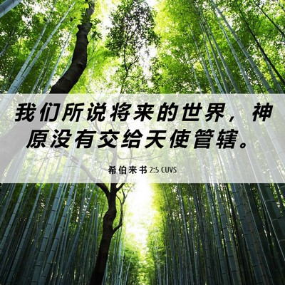 Picture 06 - 希 伯 来 书 2:5 CUVS - 我 们 所 说 将 来 的 世 界 ， 神 原 - Bible Verse Picture