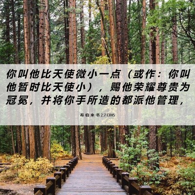 Picture 06 - 希 伯 来 书 2:7 CUVS - 你 叫 他 比 天 使 微 小 一 点 （ 或 - Bible Verse Picture