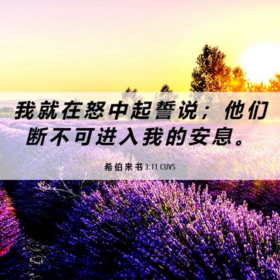 Picture 06 - 希 伯 来 书 3:11 CUVS - 我 就 在 怒 中 起 誓 说 ； 他 们 断 - Bible Verse Picture