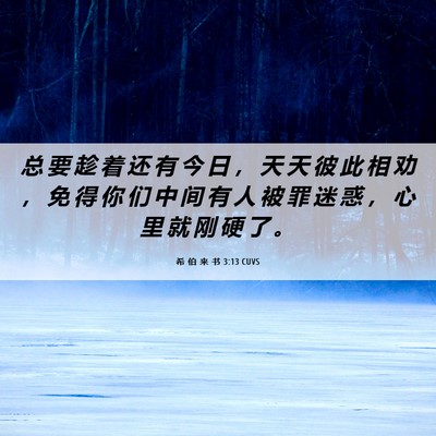 Picture 06 - 希 伯 来 书 3:13 CUVS - 总 要 趁 着 还 有 今 日 ， 天 天 彼 - Bible Verse Picture