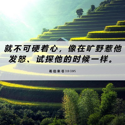 Picture 06 - 希 伯 来 书 3:8 CUVS - 就 不 可 硬 着 心 ， 像 在 旷 野 惹 - Bible Verse Picture