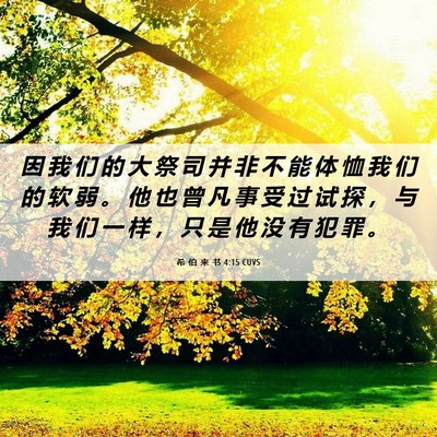 Picture 06 - 希 伯 来 书 4:15 CUVS - 因 我 们 的 大 祭 司 并 非 不 能 体 - Bible Verse Picture