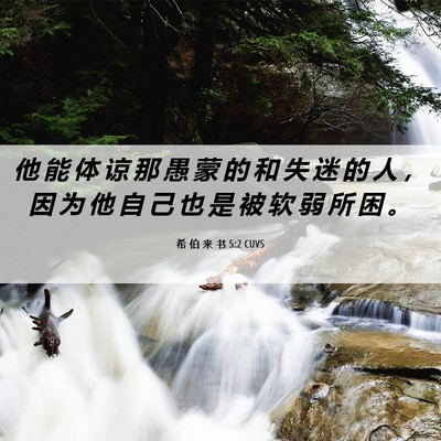 Picture 06 - 希 伯 来 书 5:2 CUVS - 他 能 体 谅 那 愚 蒙 的 和 失 迷 的 - Bible Verse Picture