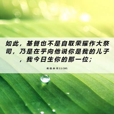 Picture 06 - 希 伯 来 书 5:5 CUVS - 如 此 ， 基 督 也 不 是 自 取 荣 耀 - Bible Verse Picture