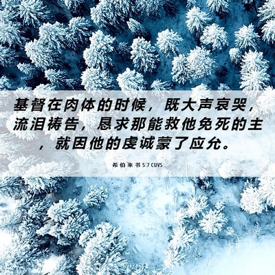 Picture 06 - 希 伯 来 书 5:7 CUVS - 基 督 在 肉 体 的 时 候 ， 既 大 声 - Bible Verse Picture