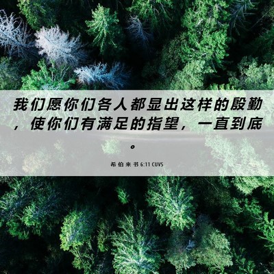 Picture 06 - 希 伯 来 书 6:11 CUVS - 我 们 愿 你 们 各 人 都 显 出 这 样 - Bible Verse Picture