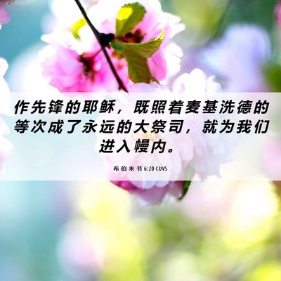 Picture 06 - 希 伯 来 书 6:20 CUVS - 作 先 锋 的 耶 稣 ， 既 照 着 麦 基 - Bible Verse Picture