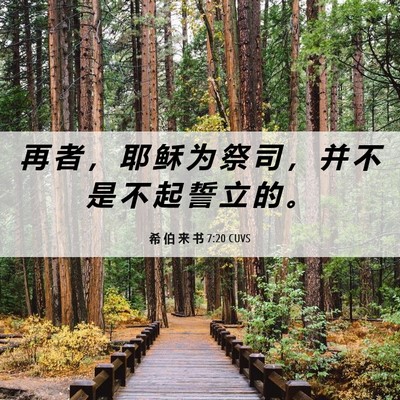 Picture 06 - 希 伯 来 书 7:20 CUVS - 再 者 ， 耶 稣 为 祭 司 ， 并 不 是 - Bible Verse Picture