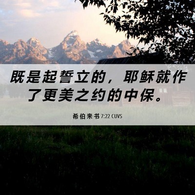 Picture 06 - 希 伯 来 书 7:22 CUVS - 既 是 起 誓 立 的 ， 耶 稣 就 作 了 - Bible Verse Picture