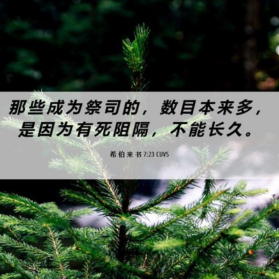 Picture 06 - 希 伯 来 书 7:23 CUVS - 那 些 成 为 祭 司 的 ， 数 目 本 来 - Bible Verse Picture