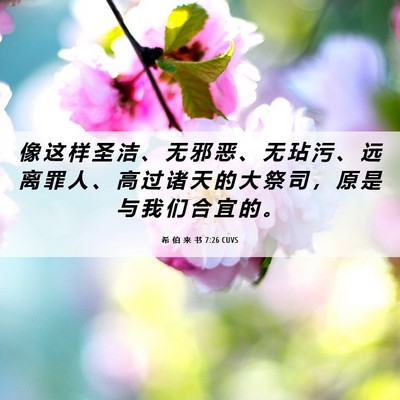 Picture 06 - 希 伯 来 书 7:26 CUVS - 像 这 样 圣 洁 、 无 邪 恶 、 无 玷 - Bible Verse Picture