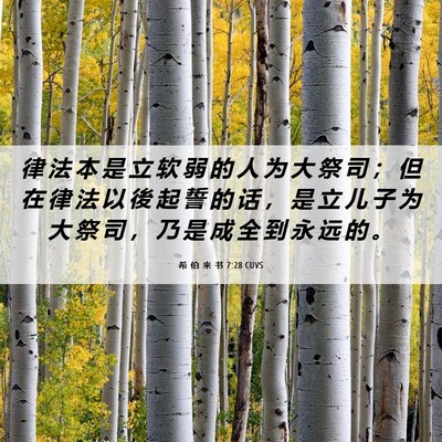 Picture 06 - 希 伯 来 书 7:28 CUVS - 律 法 本 是 立 软 弱 的 人 为 大 祭 - Bible Verse Picture
