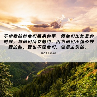 Picture 06 - 希 伯 来 书 8:9 CUVS - 不 像 我 拉 着 他 们 祖 宗 的 手 ， - Bible Verse Picture