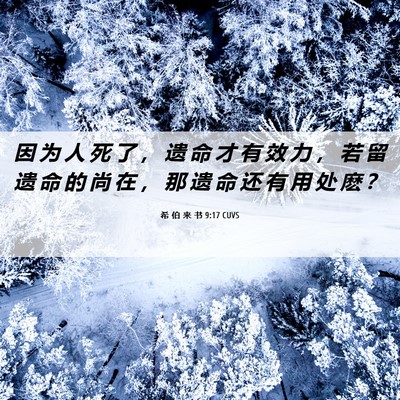 Picture 06 - 希 伯 来 书 9:17 CUVS - 因 为 人 死 了 ， 遗 命 才 有 效 力 - Bible Verse Picture