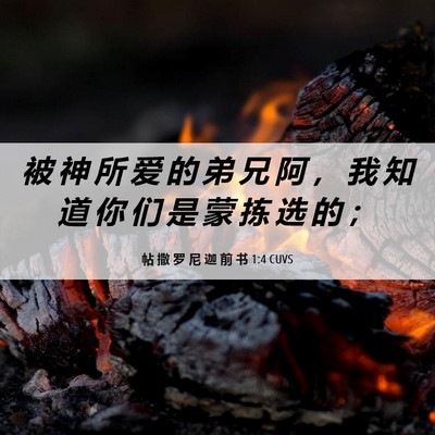Picture 06 - 帖 撒 罗 尼 迦 前 书 1:4 CUVS - 被 神 所 爱 的 弟 兄 阿 ， 我 知 道 - Bible Verse Picture