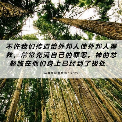 Picture 06 - 帖 撒 罗 尼 迦 前 书 2:16 CUVS - 不 许 我 们 传 道 给 外 邦 人 使 外 - Bible Verse Picture
