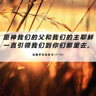Picture 06 - 帖 撒 罗 尼 迦 前 书 3:11 CUVS - 愿 神 我 们 的 父 和 我 们 的 主 耶 - Bible Verse Picture