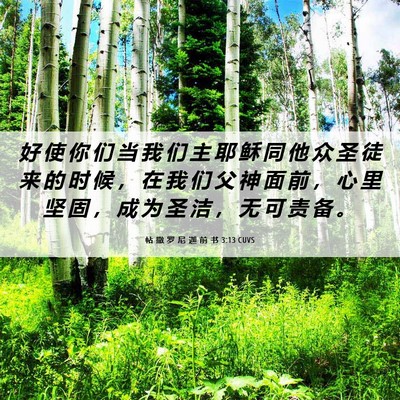 Picture 06 - 帖 撒 罗 尼 迦 前 书 3:13 CUVS - 好 使 你 们 当 我 们 主 耶 稣 同 他 - Bible Verse Picture