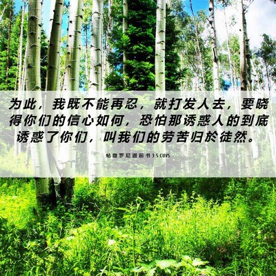 Picture 06 - 帖 撒 罗 尼 迦 前 书 3:5 CUVS - 为 此 ， 我 既 不 能 再 忍 ， 就 打 - Bible Verse Picture