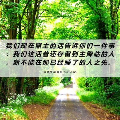 Picture 06 - 帖 撒 罗 尼 迦 前 书 4:15 CUVS - 我 们 现 在 照 主 的 话 告 诉 你 们 - Bible Verse Picture