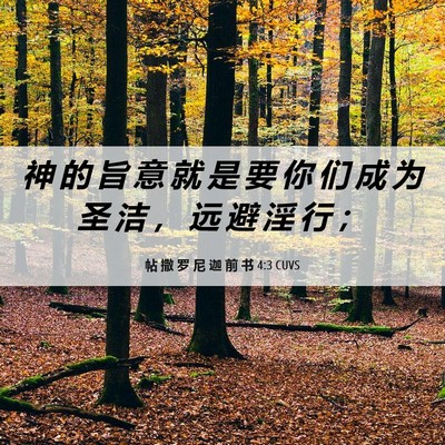 Picture 06 - 帖 撒 罗 尼 迦 前 书 4:3 CUVS - 神 的 旨 意 就 是 要 你 们 成 为 圣 - Bible Verse Picture