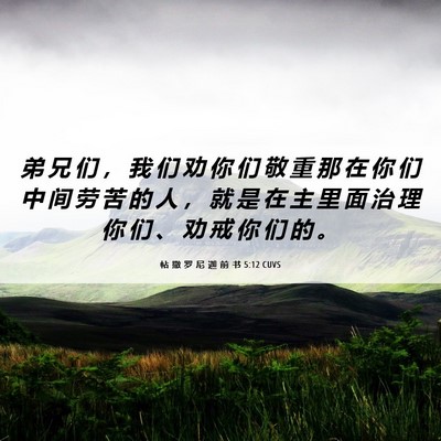 Picture 06 - 帖 撒 罗 尼 迦 前 书 5:12 CUVS - 弟 兄 们 ， 我 们 劝 你 们 敬 重 那 - Bible Verse Picture
