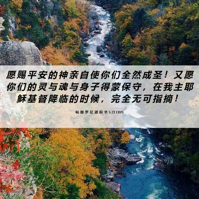 Picture 06 - 帖 撒 罗 尼 迦 前 书 5:23 CUVS - 愿 赐 平 安 的 神 亲 自 使 你 们 全 - Bible Verse Picture
