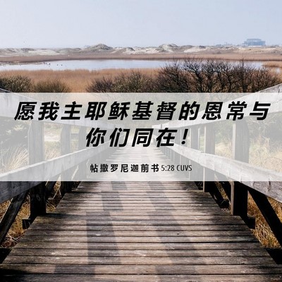 Picture 06 - 帖 撒 罗 尼 迦 前 书 5:28 CUVS - 愿 我 主 耶 稣 基 督 的 恩 常 与 你 - Bible Verse Picture