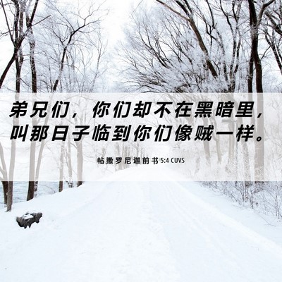 Picture 06 - 帖 撒 罗 尼 迦 前 书 5:4 CUVS - 弟 兄 们 ， 你 们 却 不 在 黑 暗 里 - Bible Verse Picture
