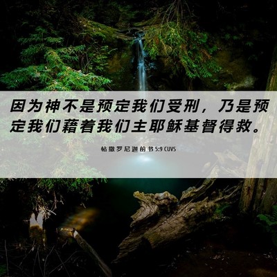 Picture 06 - 帖 撒 罗 尼 迦 前 书 5:9 CUVS - 因 为 神 不 是 预 定 我 们 受 刑 ， - Bible Verse Picture