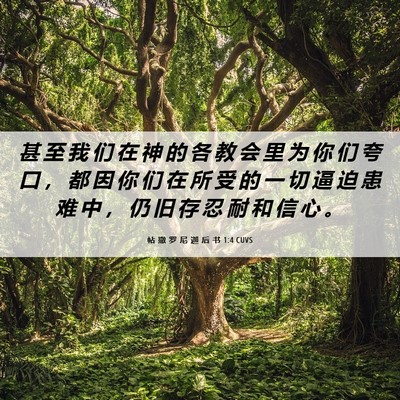 Picture 06 - 帖 撒 罗 尼 迦 后 书 1:4 CUVS - 甚 至 我 们 在 神 的 各 教 会 里 为 - Bible Verse Picture