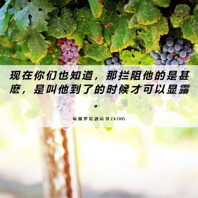 Picture 06 - 帖 撒 罗 尼 迦 后 书 2:6 CUVS - 现 在 你 们 也 知 道 ， 那 拦 阻 他 - Bible Verse Picture