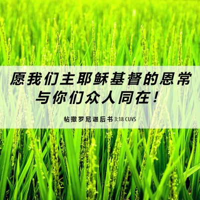 Picture 06 - 帖 撒 罗 尼 迦 后 书 3:18 CUVS - 愿 我 们 主 耶 稣 基 督 的 恩 常 与 - Bible Verse Picture