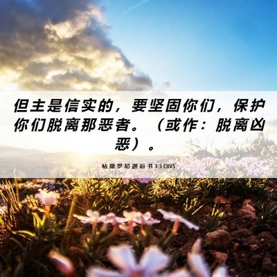 Picture 06 - 帖 撒 罗 尼 迦 后 书 3:3 CUVS - 但 主 是 信 实 的 ， 要 坚 固 你 们 - Bible Verse Picture