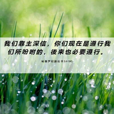 Picture 06 - 帖 撒 罗 尼 迦 后 书 3:4 CUVS - 我 们 靠 主 深 信 ， 你 们 现 在 是 - Bible Verse Picture