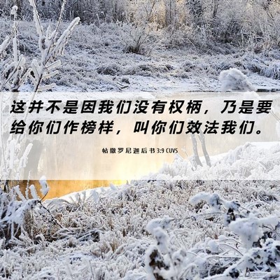 Picture 06 - 帖 撒 罗 尼 迦 后 书 3:9 CUVS - 这 并 不 是 因 我 们 没 有 权 柄 ， - Bible Verse Picture